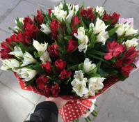 17 веток белой и красной альстромерии